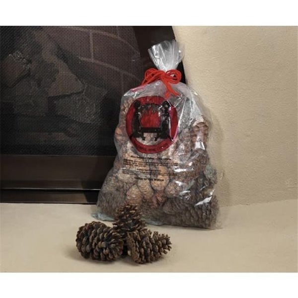 Integra Miltex Goods Of The Woods 10100 Magical Color Pine Cones  2.5 lb. Bag  Burn Blue And Green 47148